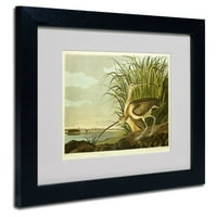 Marcă comercială Fine Art long Billed Curlew Canvas Art de John James Audubon, cadru negru