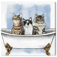 Wynwood Studio Animals Wall Art Print 'pisici în cadă' pisici și pisicuțe-Albastru, alb