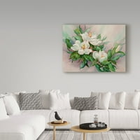 Marcă comercială Artă Plastică 'Magnolia Blossoms' Canvas Art de Barbara Mock
