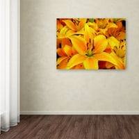 Marcă comercială Fine Art 'Yellow Flower 2' Canvas Art de la colecția Lieberman