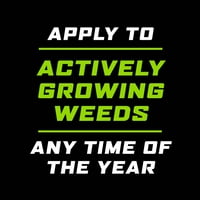 Ortho GroundClear Weed & iarbă Ucigaș, gal