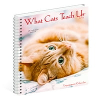 Willow Creek Press Ce Ne Învață Pisicile Calendar De Logodnă, Planificator În Spirală