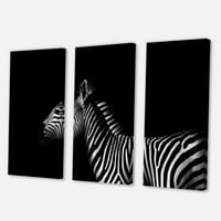 Sideview de Zebra în alb și negru Fotografie Canvas Art Print