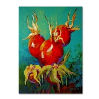 Marcă comercială Fine Art 'Rose Hips' Canvas Art de Marion Rose