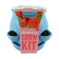 Buzzy 4-Kit de creștere Ceramică de buzunar-garantat să crească-căpșuni