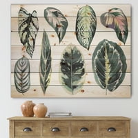 Designart 'frunze tropicale de Calathea pe Alb' Imprimeu boem și Eclectic pe lemn Natural de pin