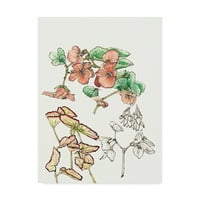 Marcă comercială Fine Art 'Begonia Study' Canvas Art de Melissa Wang