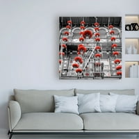 Marcă comercială Fine Art 'Red Lanterns On Gray' Canvas Art de Alan Blaustein