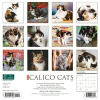 Willow Creek Apăsați Doar Calico Pisici Perete Calendar