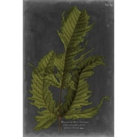 Marmont Hill Foliage Dramatique I imprimare pictură pe pânză înfășurată